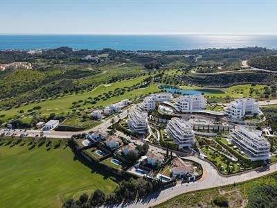 Cordia 360 Aerial View